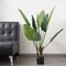 2 Green 3 feet Bird of Paradise ARTIFICIAL PLANTS Planter Pots Home Decorations